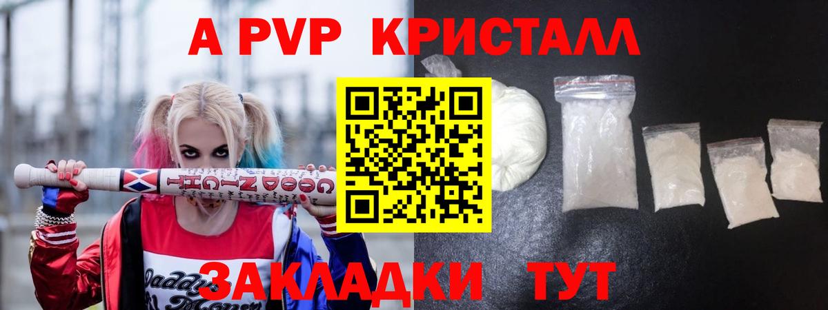Alfa_PVP СК Сокол