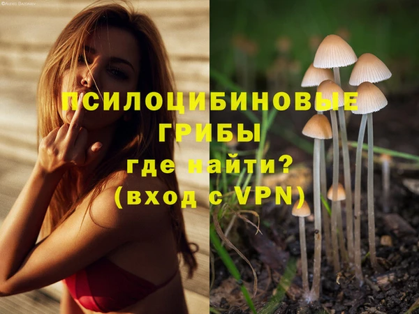 спайс Зеленокумск
