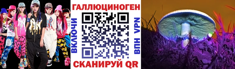 продажа наркотиков  Сокол  kraken ТОР  Галлюциногенные грибы мицелий 