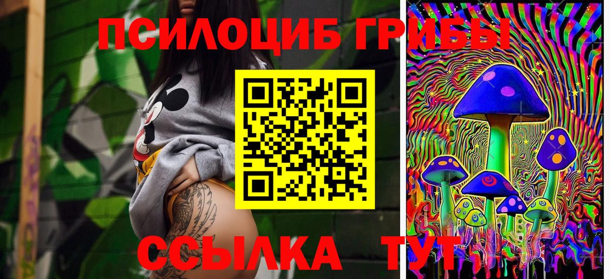 Псилоцибиновые грибы GOLDEN TEACHER  Вход с VPN  Сокол 