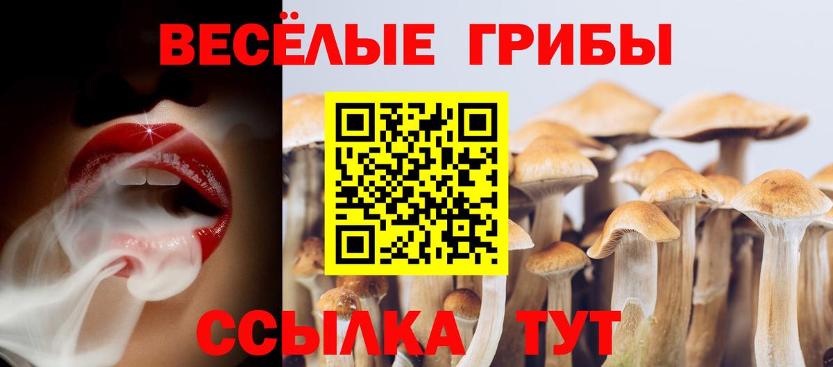 Псилоцибиновые грибы GOLDEN TEACHER Сокол