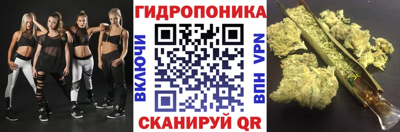 нарко площадка клад  Сокол  Каннабис OG Kush 